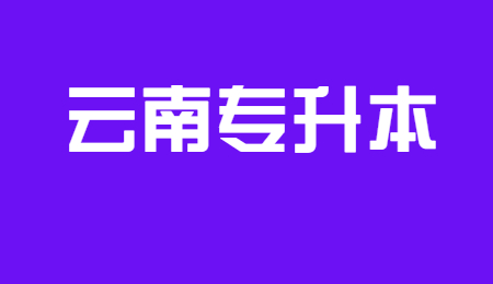 2024年云南大專普通專升本可以考哪些學校